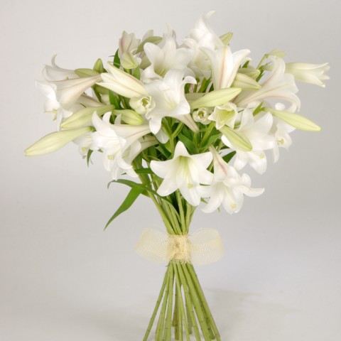 ramo de lilium primavera