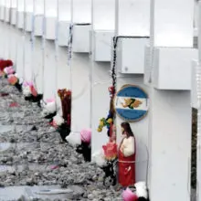 cementerio de darwin