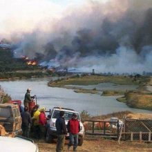 El último incendio afectó 17 mil hectáreas de bosque en Torres del Paine.