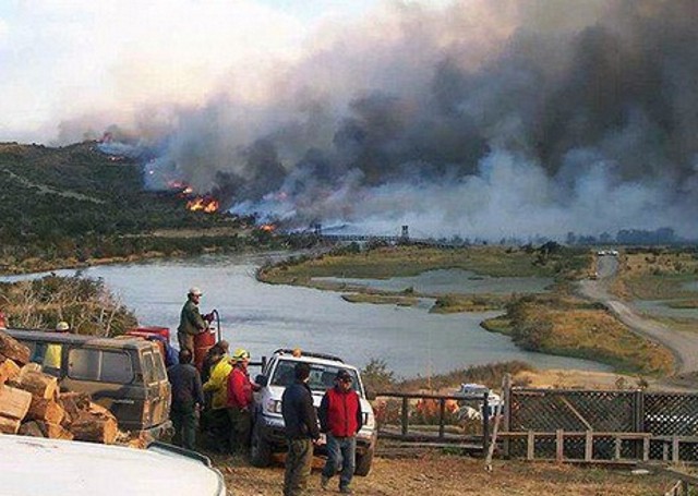 El último incendio afectó 17 mil hectáreas de bosque en Torres del Paine.