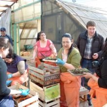PLAN FORESTAL