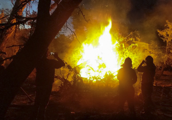 Foto: Brigada de Incendios Forestales