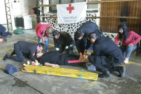 rcp cruz roja