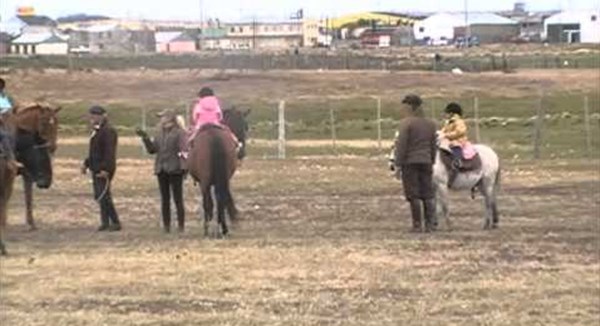 Nuevo ataque de perros a animales en «La Cimarrona»