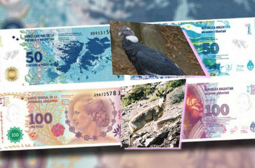 billetes