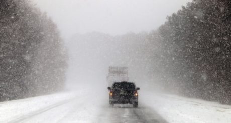 nevadas