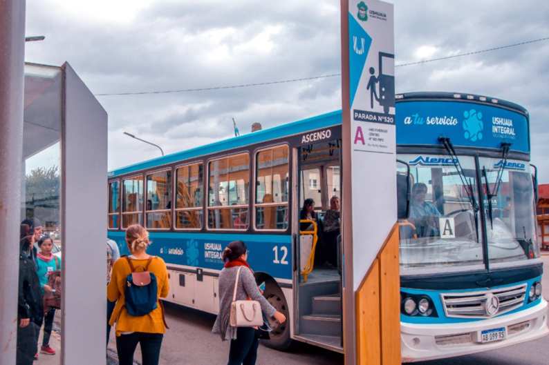 colectivos