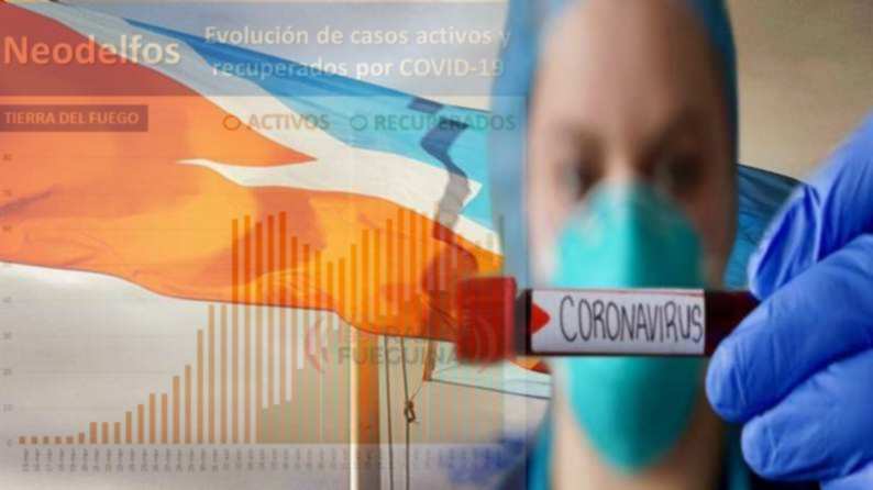 recuperados