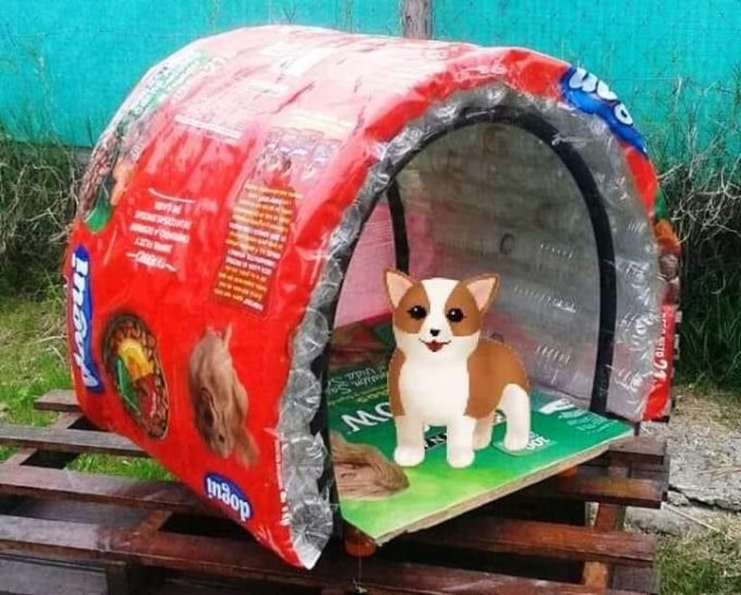 Para que los animales no pasen frío Juntan botellas para armar cuchas