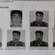 Sofía