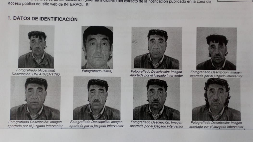 Sofía