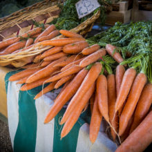 Food orange carrot macro