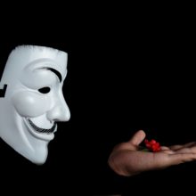 Photo of guy fawkes mask with red flower on top on hand