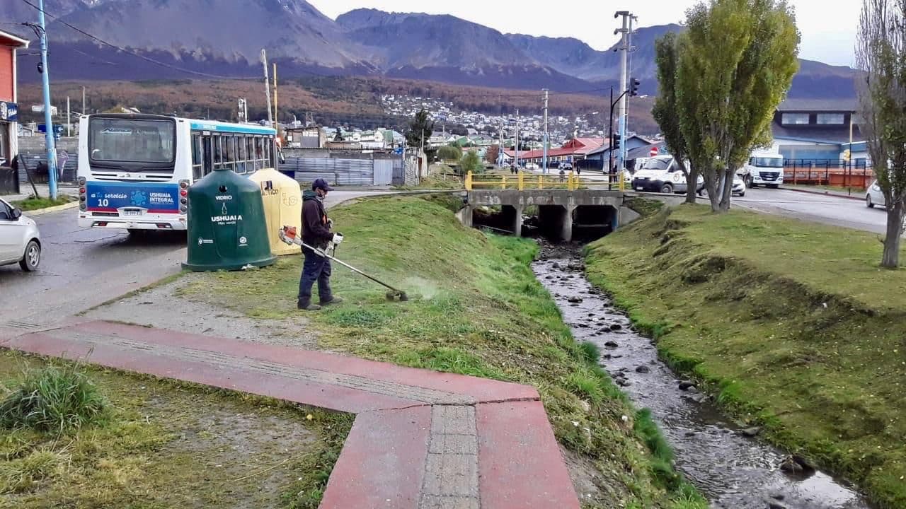 limpieza de espacios verdes