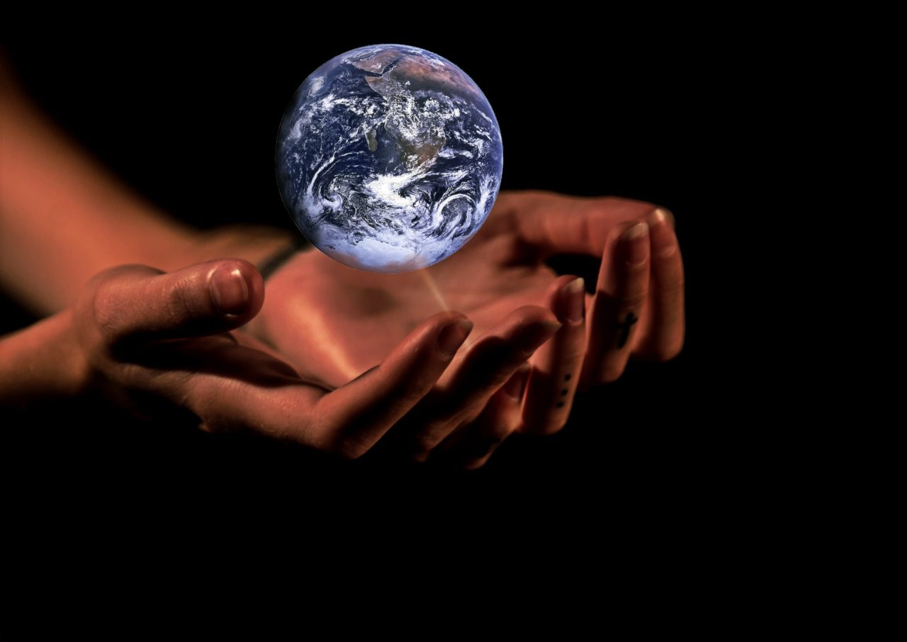 medio ambiente scaled