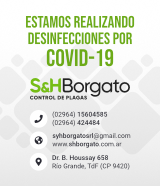 S&H Borgato - COVID-19