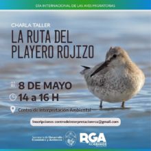 charla taller sobre aves migratorias