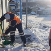 la municipalidad de ushuaia y pami colaboran con la limpieza de veredas de adultos mayores