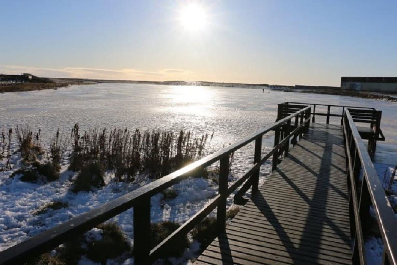 laguna de los patos 1