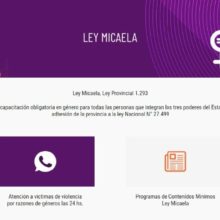 ley micaela