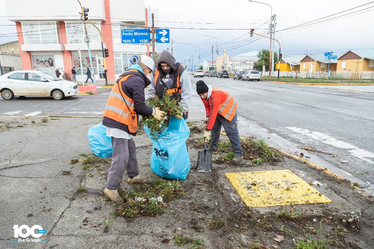 operativo de limpieza en veredas de la ciudad