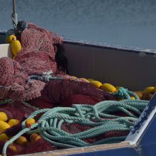 pesca artesanal