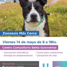 zoonosis mas cerca 1