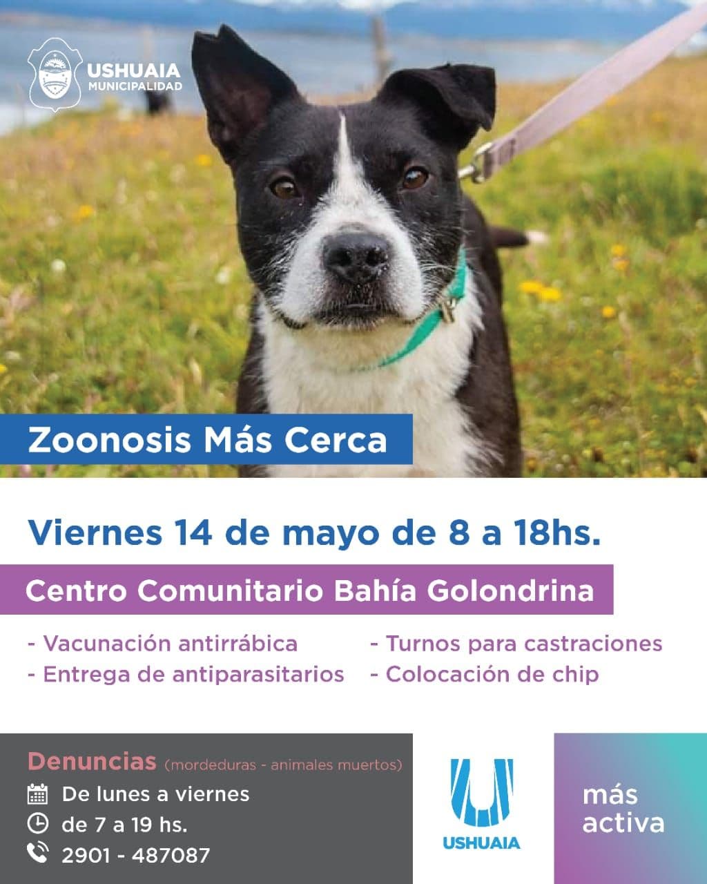 zoonosis mas cerca 1