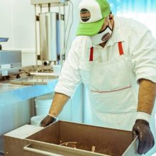 el ministerio de produccion y ambiente asistio a mas de 100 mipymes