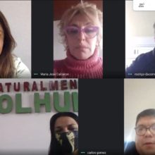 proyectos de cultura solidaria