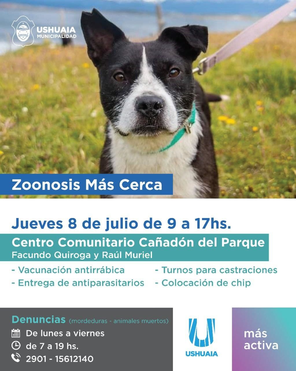 zoonosis mas cerca estara presente con una nueva jornada en el centro comunitario canadon del parque 1