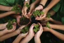 educacion ambiental