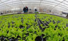 mas de 100 inscriptos al programa rga agro productiva