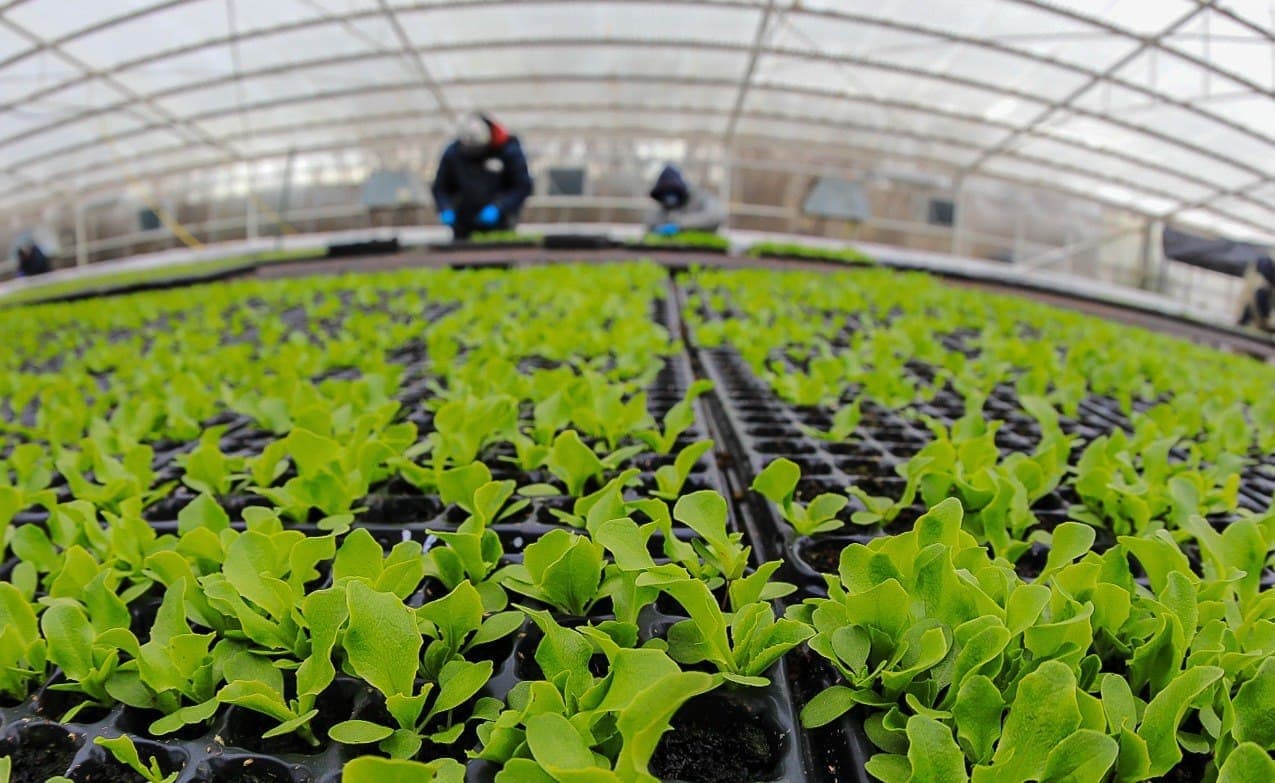 mas de 100 inscriptos al programa rga agro productiva