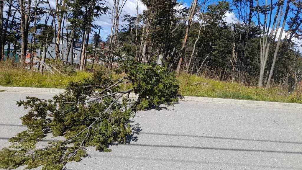 Alerta por fuertes vientos en Tierra del Fuego