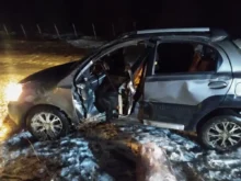 auto despiste