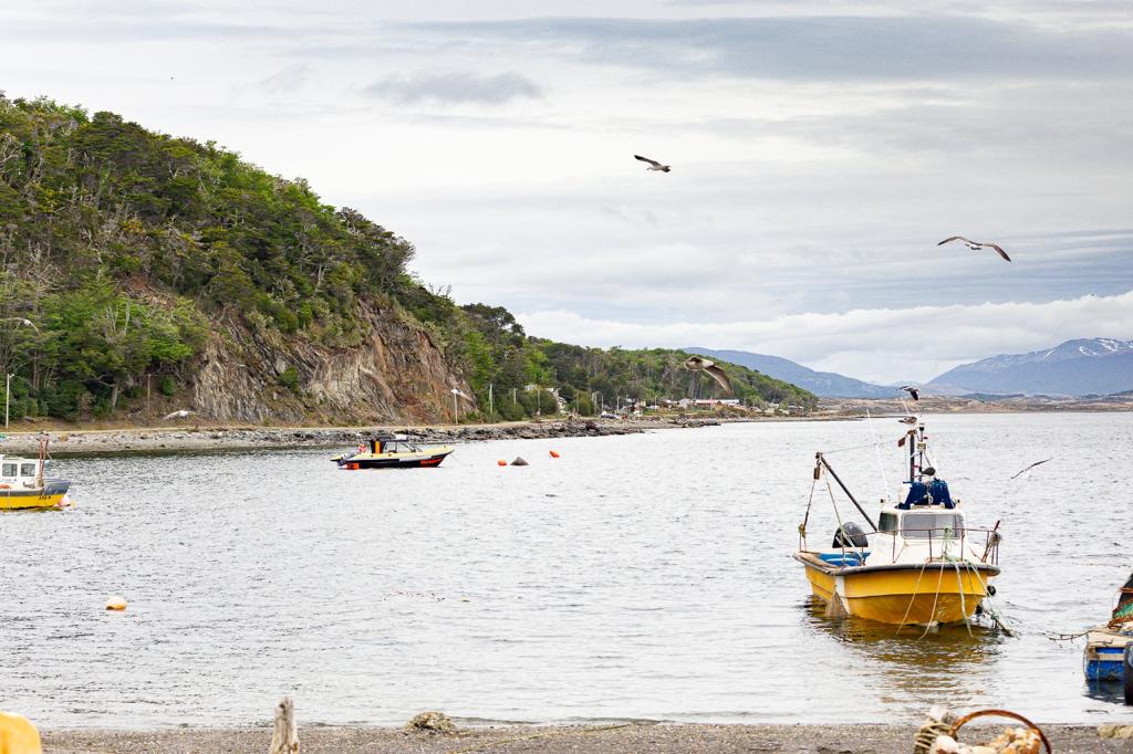 Sostienen que se siguen consumiendo productos de pesca a pesar de la crisis
