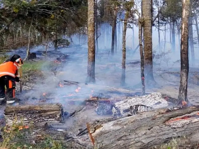 Procesaron a un hombre por el incendio en Villa Marina