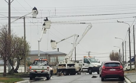 cooperativa electrica