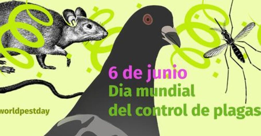 dia plagas