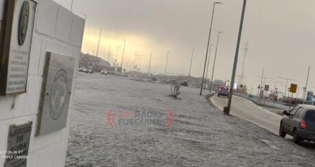 postal rg frio helada