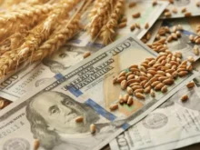 dolar agro 5 grandejpgjpg