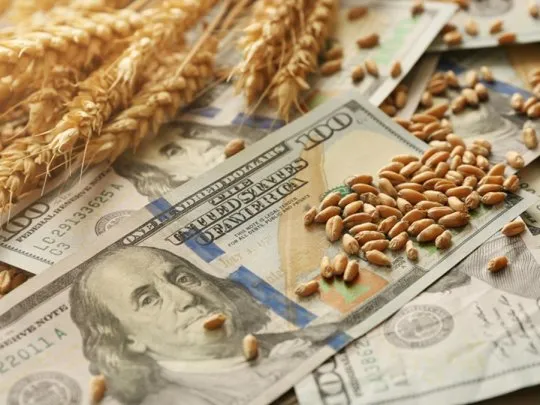 dolar agro 5 grandejpgjpg