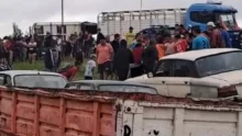 camion vacasjpg