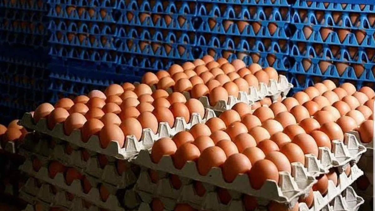 Se dispara el precio del maple de huevos y alcanza entre los 5 mil y 7 mil pesos