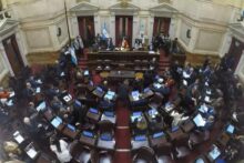 senado