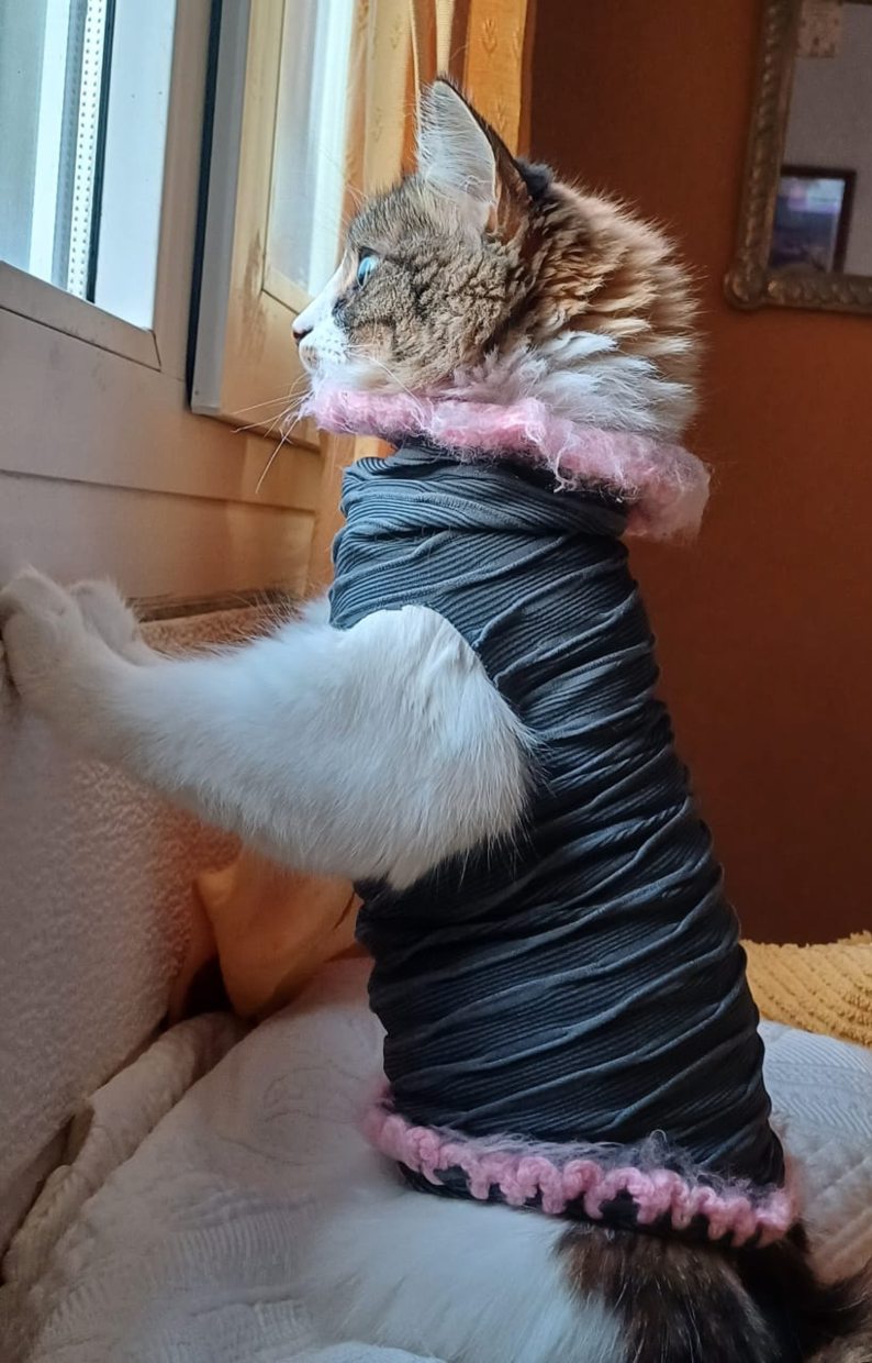 donna, lista para salir