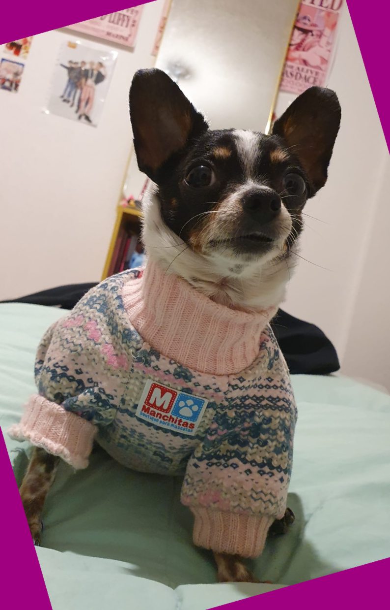 lola muy abrigada