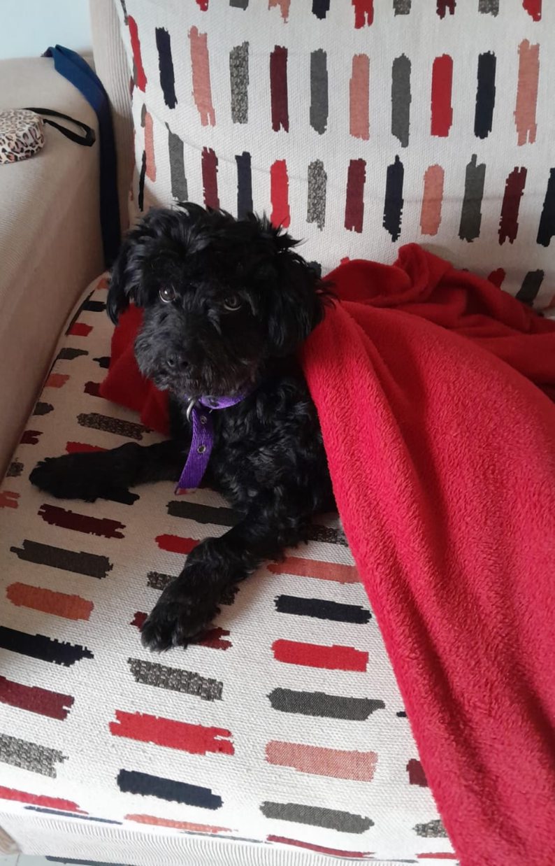 morita hija adoptiva de diego