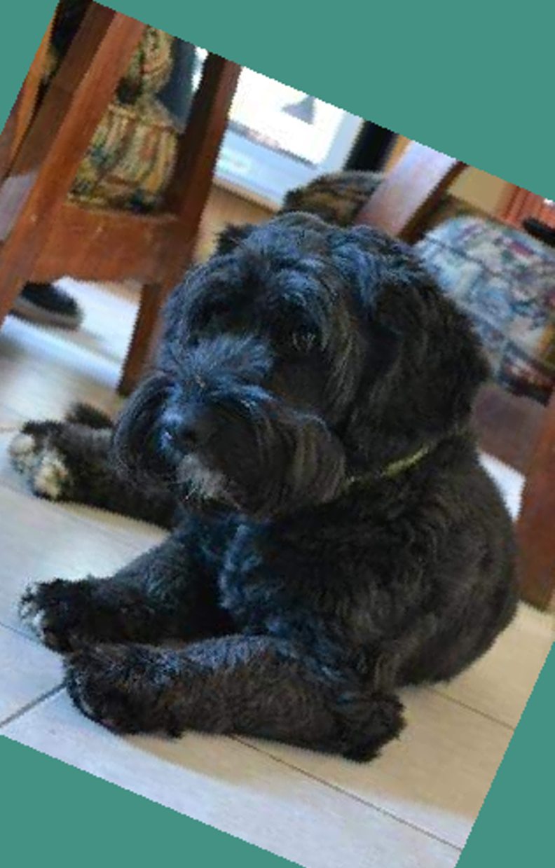 osita filosofando